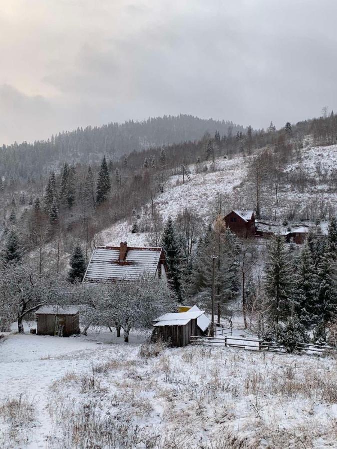 Sadyba Vanda Oryavchyk Buitenkant foto