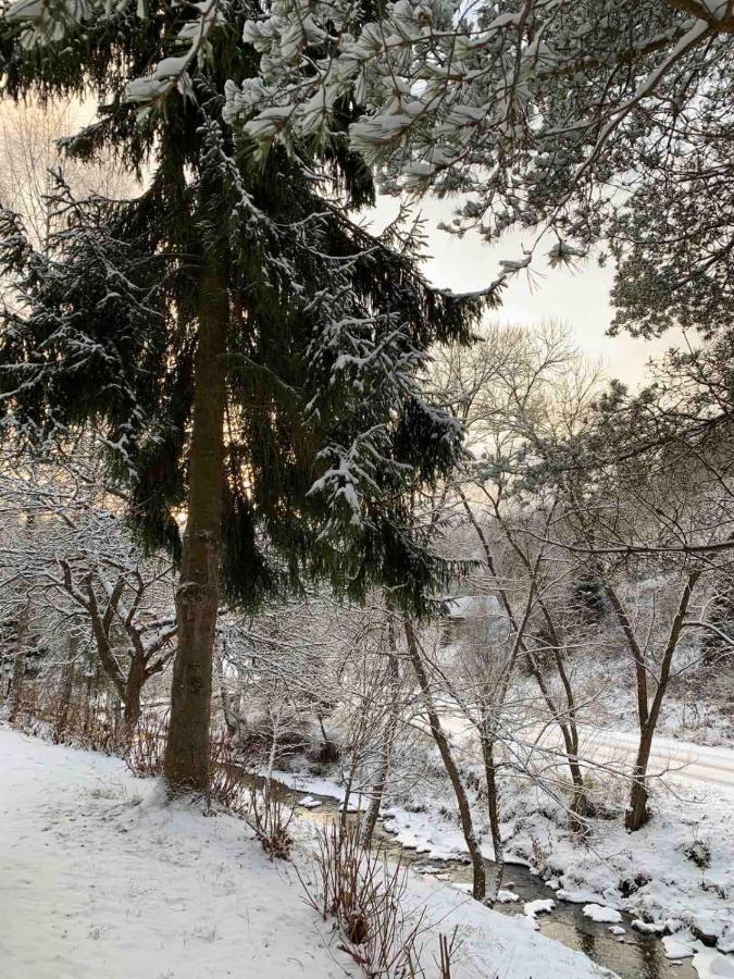 Sadyba Vanda Oryavchyk Buitenkant foto