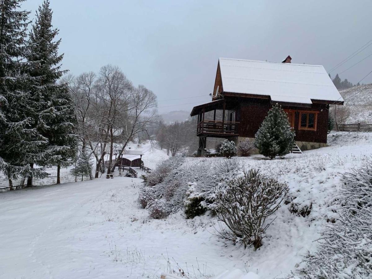 Sadyba Vanda Oryavchyk Buitenkant foto