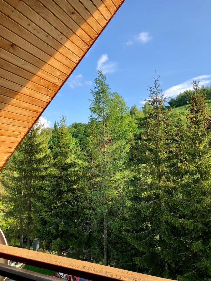 Sadyba Vanda Oryavchyk Buitenkant foto