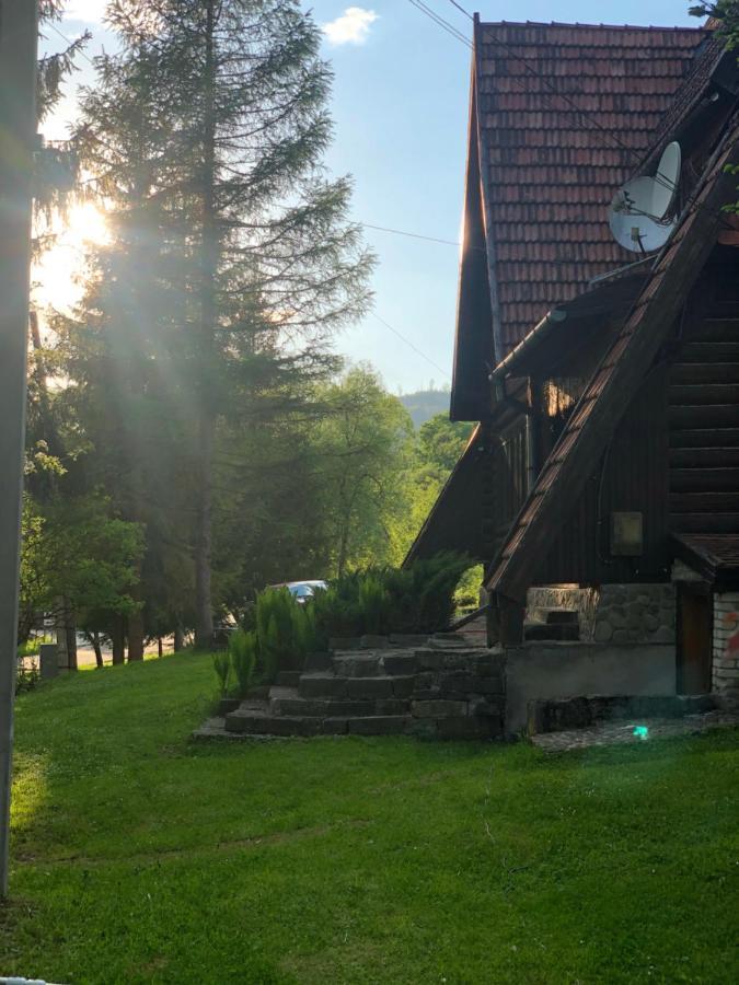 Sadyba Vanda Oryavchyk Buitenkant foto