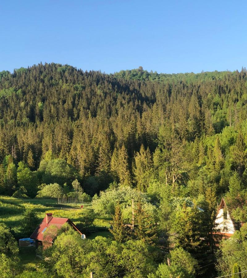 Sadyba Vanda Oryavchyk Buitenkant foto